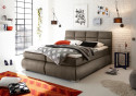 Postel boxspring York