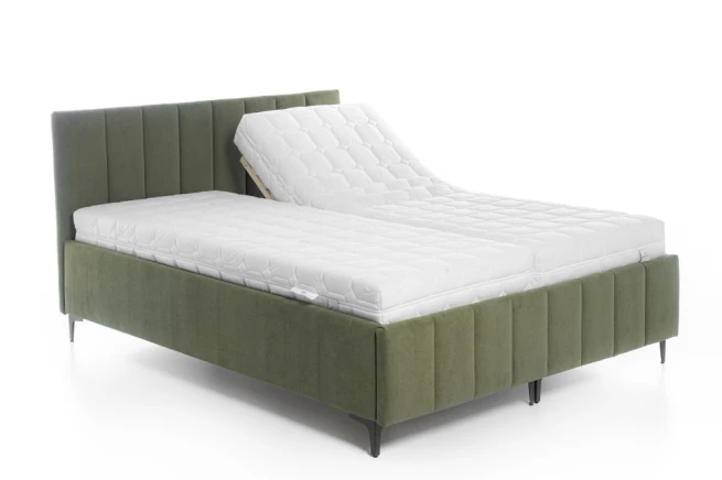 Čalouněná postel s polohovacím roštem Moly 160x200 cm