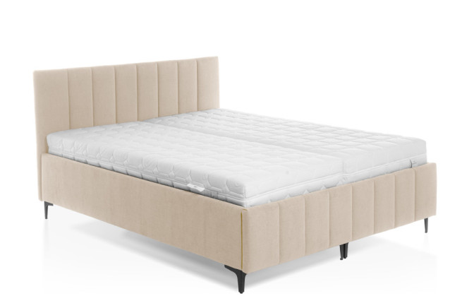 Postel Moly 11