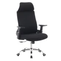 Kancelářské křeslo, černá/chrom, HOLGER