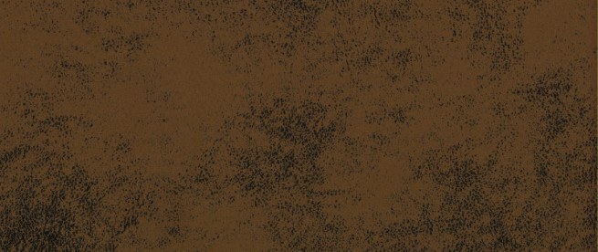 Gobi