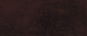 Gobi 04