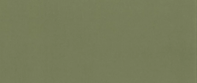 Matt velvet 34 světle zelená