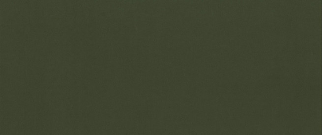 Matt velvet 38 zelenohnědá