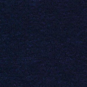 Mikrofaza 11