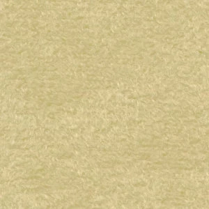 Mikrofaza 5