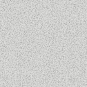 Now or never 01 bílá